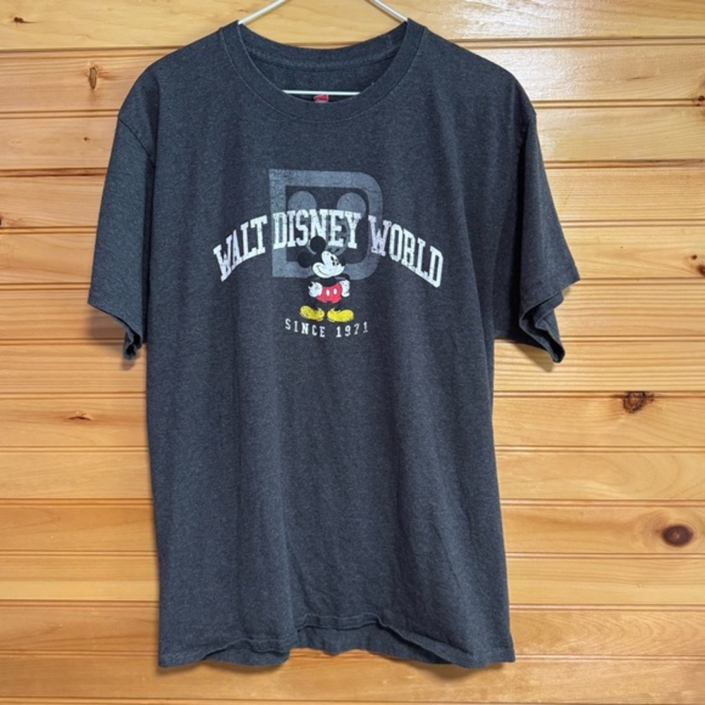 Hanes Disney Walt Disney World Charcoal T-Shirt Large